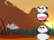 Panda Catch